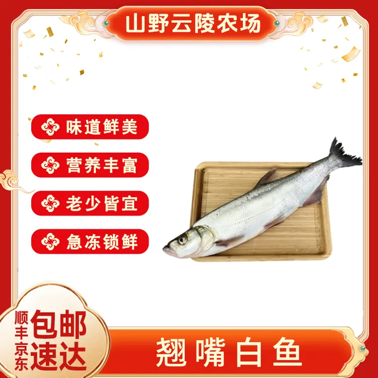 山野云陵农场鲜冻翘嘴鱼白鱼400g/条*2+送1条共3条去鳞去腮去内脏