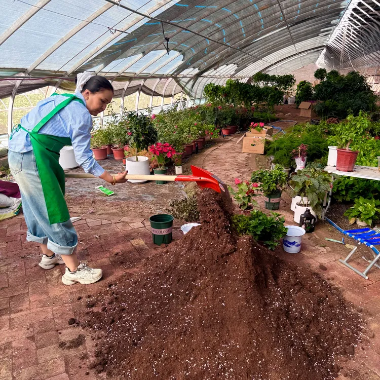 【新疆包邮】手工制作通用户外喷施养花营养土落叶威抗病种植配方