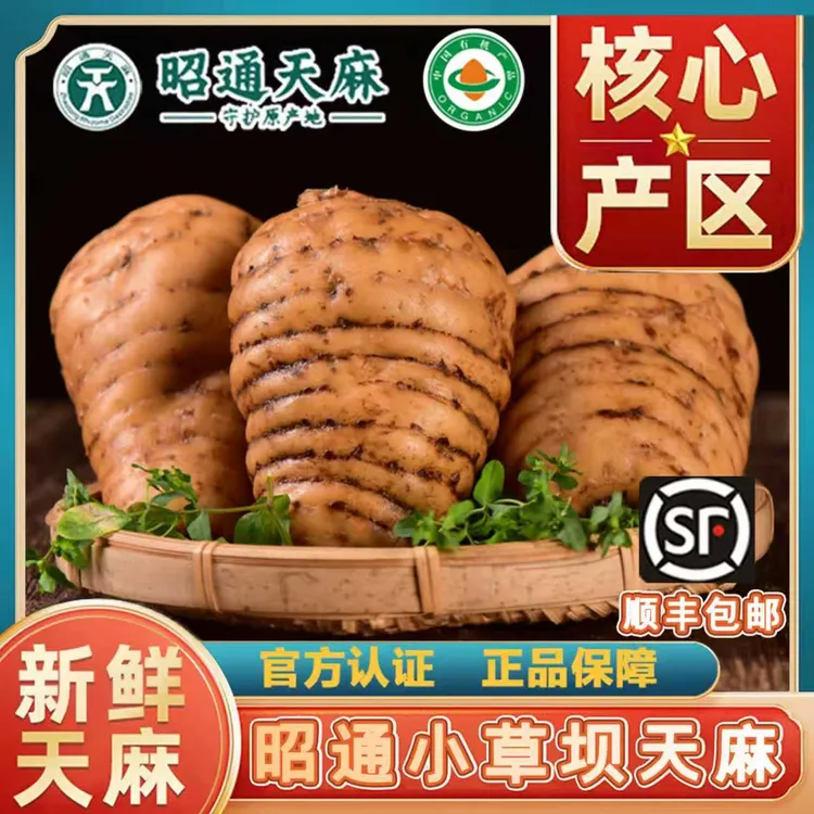 【老村长专属】《新鲜天麻》昭通彝良小草坝天麻 1斤 3斤装