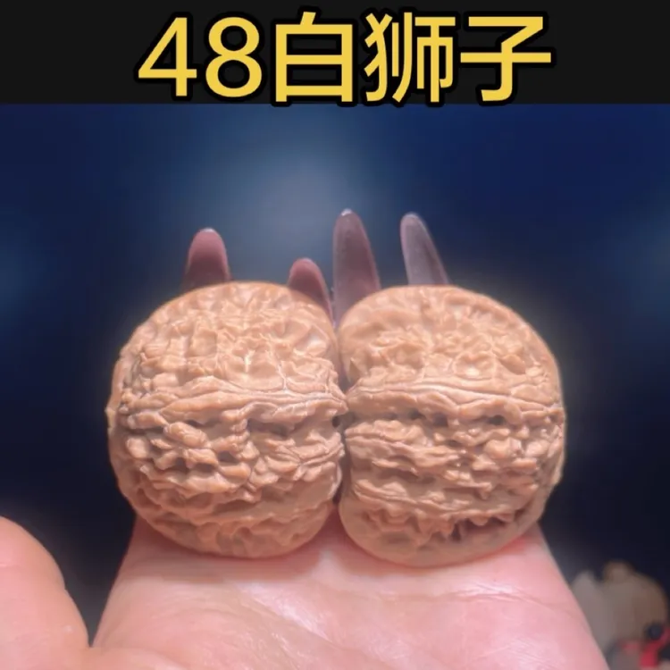 精修白狮子精品边48肚45高39尺一物一图骨质硬油性足易上色毕业对