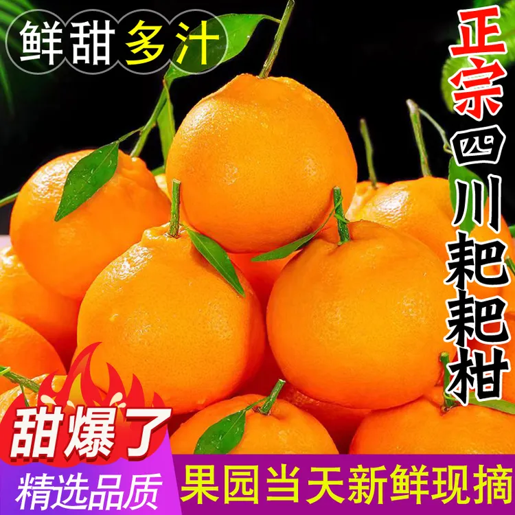 正宗四川春见耙耙柑4.5斤粑粑柑橘子新鲜水果当季丑桔八怪特甜