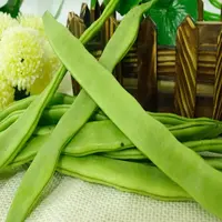 【满五包包邮】绿龙架豆种子宽扁豆角种籽大田基地架豆角籽耐寒抗病