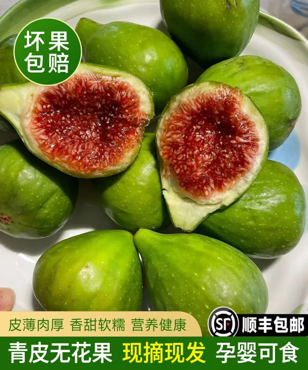 山东威海特产青皮无花果(六小时内签收坏果包赔 介意勿拍！)