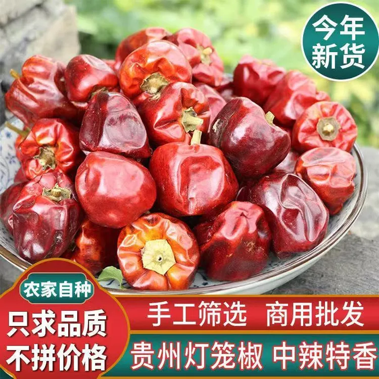 【贵州特产】灯笼椒特香新货微辣香辣辣子优质灯笼辣椒干锅香锅火锅