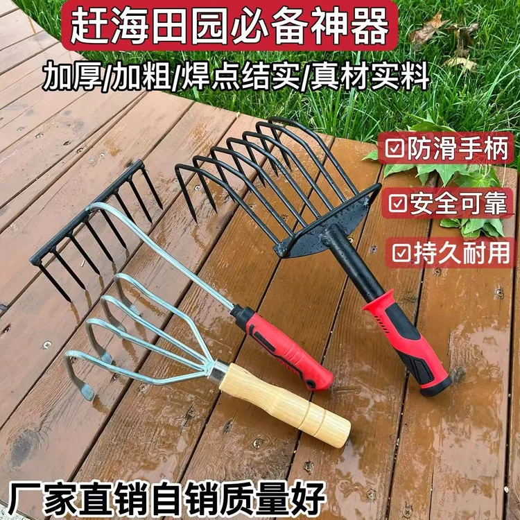 蛤蜊专用耙子工具沙滩不锈钢蛏子拾贝园林花生赶海耙土神器耐用