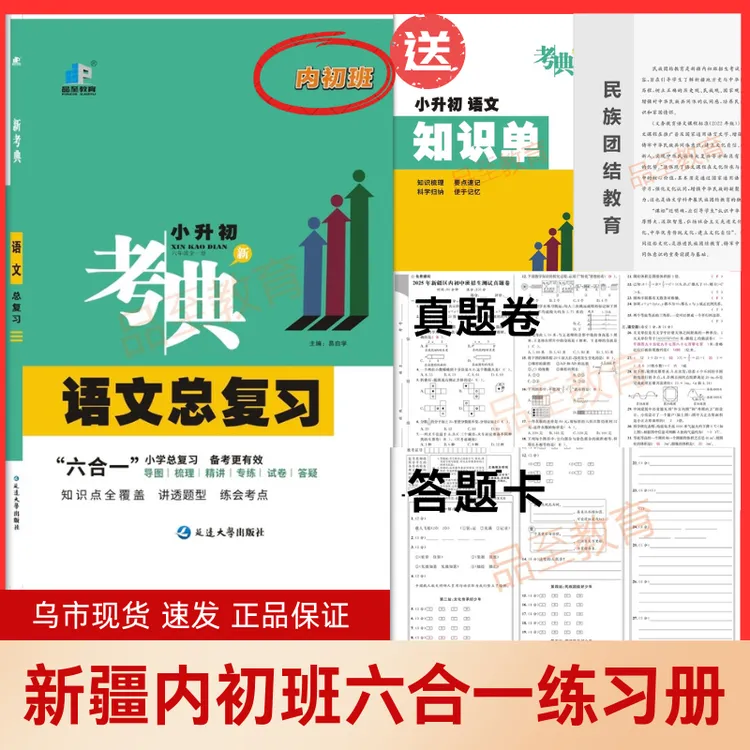 新疆内初班考典小升初语文数学总复习真题模拟卷练习册2026冲刺