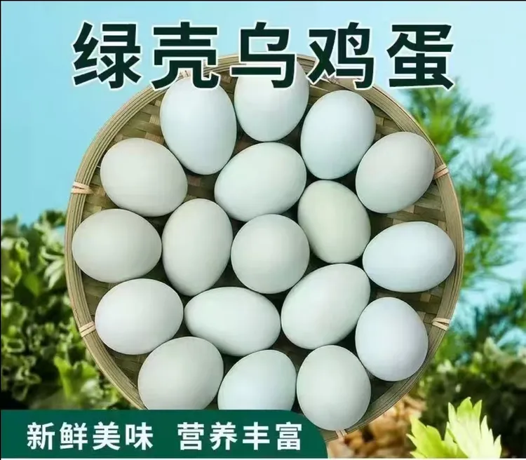 原生态散养乌鸡蛋