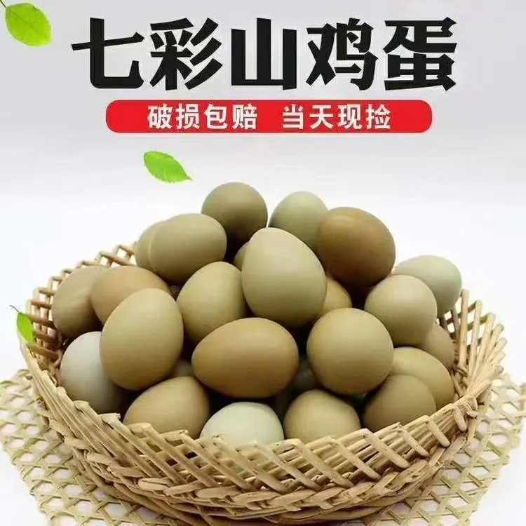 农家散养新鲜健康山鸡蛋鲜鸡蛋山林纯五谷喂养适合孕妇月子食用