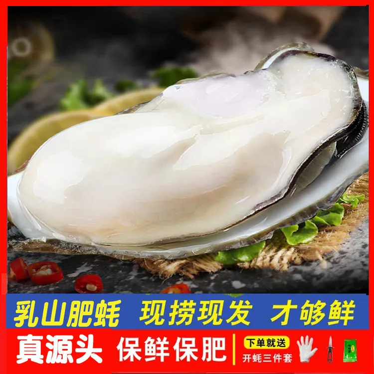 顺丰发货-10斤装鲜活乳山生蚝鲜活大牡蛎海鲜海蛎山东包鲜包活5斤