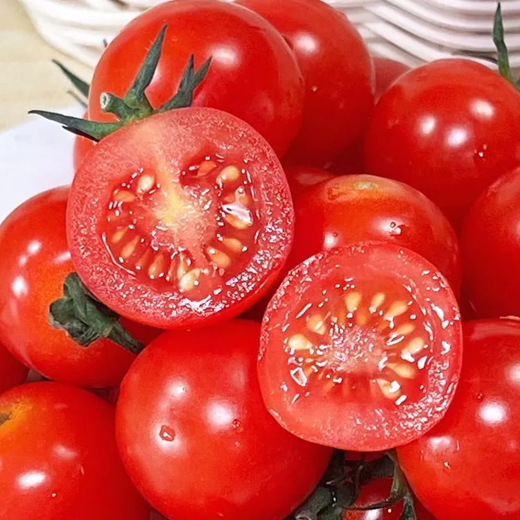 广西净重新鲜圣女果孕妇现摘新鲜水果小番茄生吃产地批发酸甜爆汁
