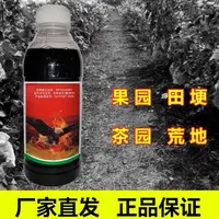 ZF果园田埂荒地户外喷雾使用正品包邮厂家直发