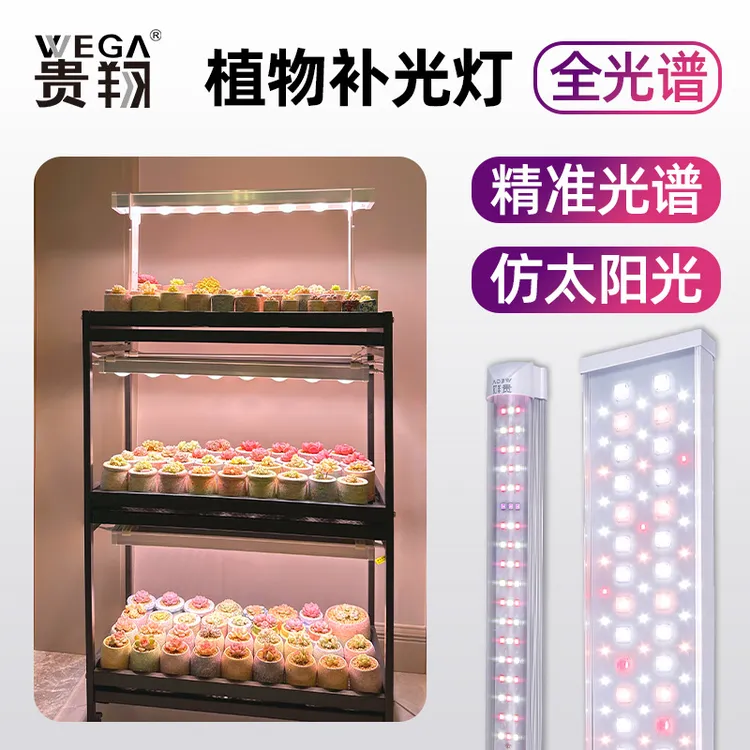 WEGA/贵翔【灯管】全光谱多肉补光灯上色仿太阳光LED植物生长灯