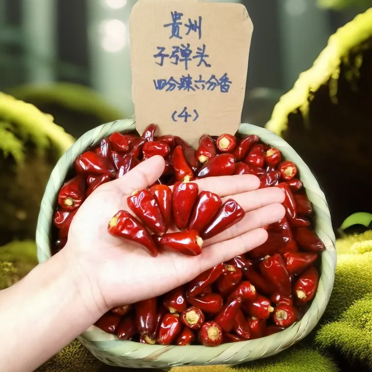 贵州朝天椒 子弹头（4分辣6 分香）