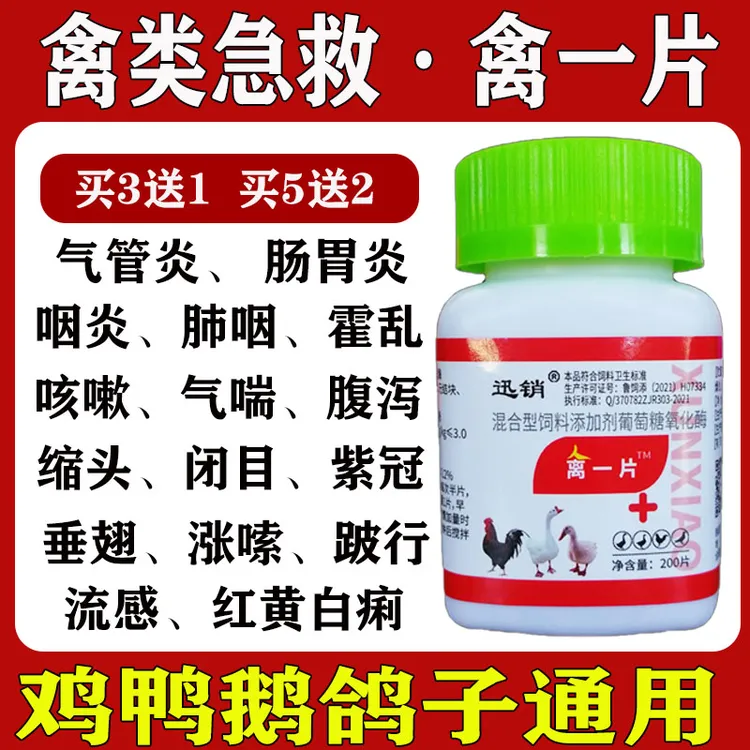 兽用禽一片肠炎拉稀呼噜特效感冒禽病鸡病大全养殖专用专用饲料