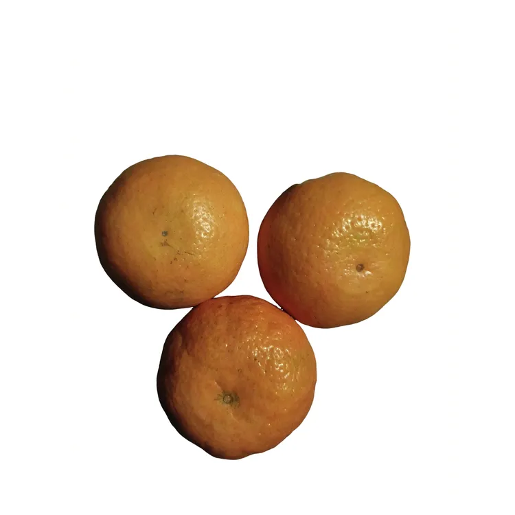 云南哀牢山沃柑4.7斤礼盒装现摘包邮