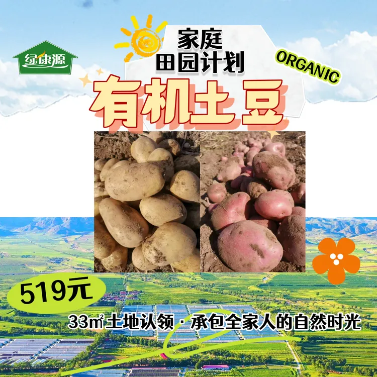 内蒙古大草原上的有机土豆