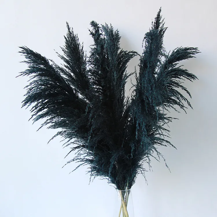 昆明狂想者黑色大芦苇自然侘寂风家居婚礼文艺装饰