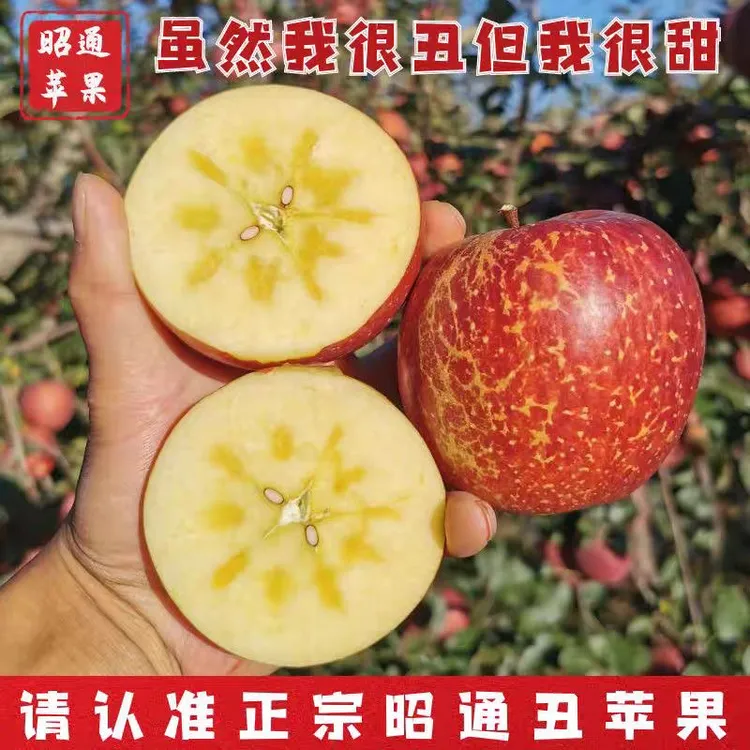 25产地直发云南正宗现摘冰印红苹果昭通冰糖心丑苹果新鲜脆甜水果