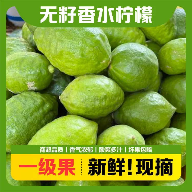 广东新鲜无籽香水柠檬多汁爆香奶茶店咖啡店专用水果 一二级果