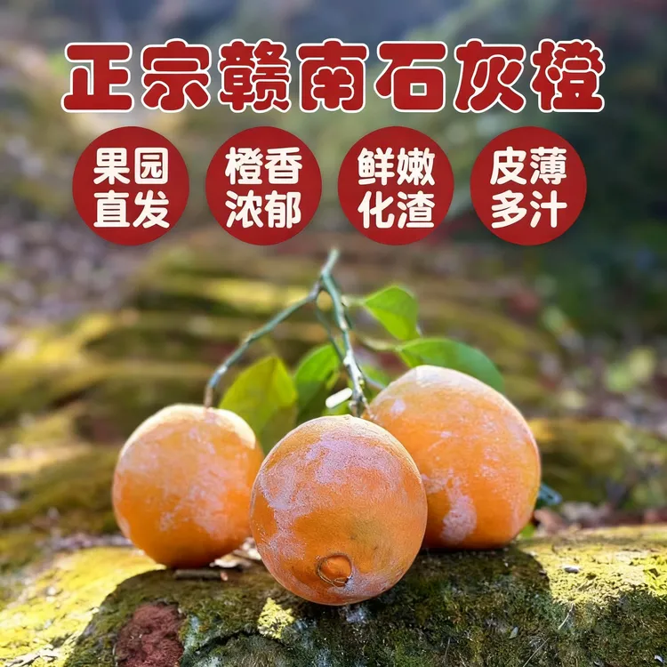 香甜多汁正宗赣南石灰橙