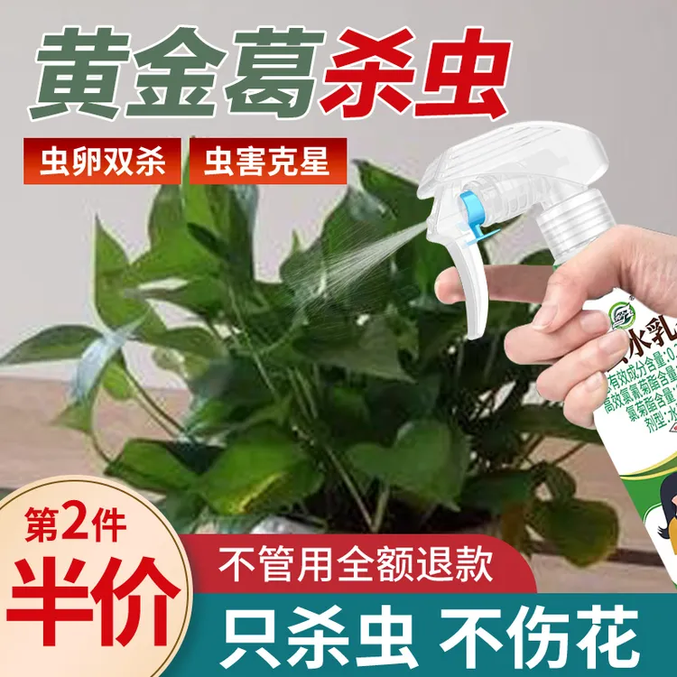 【黄金葛】杀虫剂家用植物花卉免稀释喷雾绿植灭小飞虫卵双杀神器