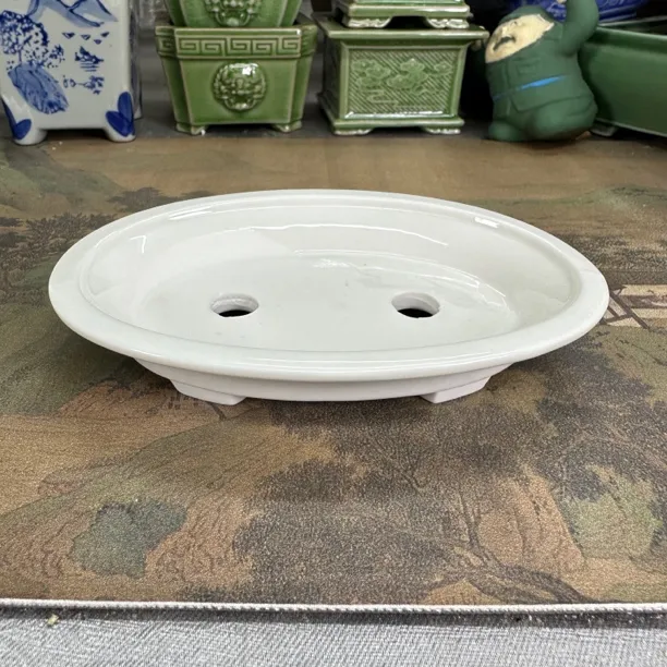 【直播浮力847】15*10.5*3cm陶瓷高白泥椭圆形四足特浅绿植造景花盆