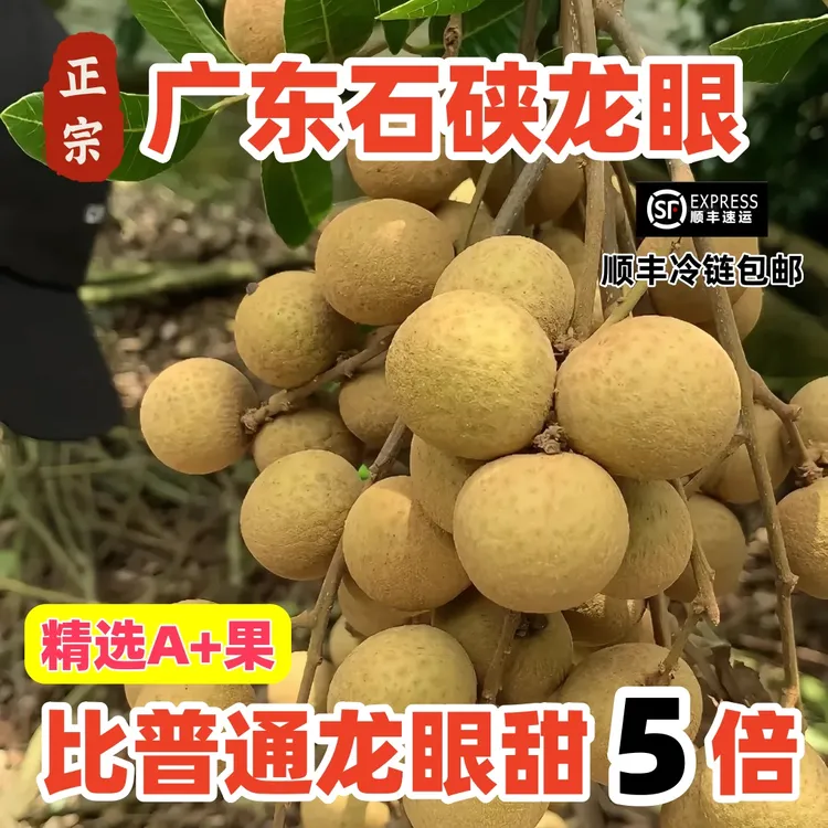 【顺丰包邮】广东正宗石硖龙眼新鲜采摘清甜爽口当季水果整箱批发