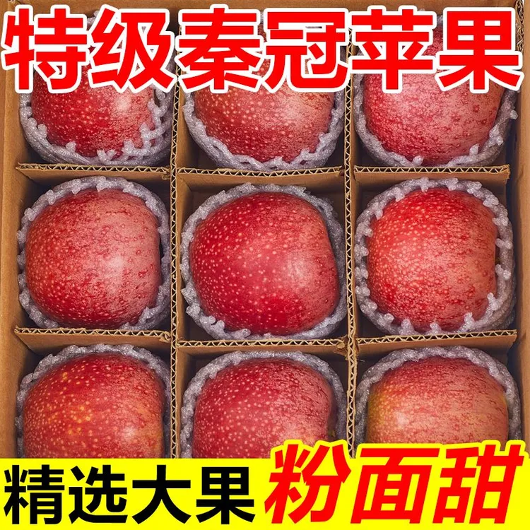 正宗陕西秦冠粉面苹果香甜刮泥吃应季新鲜苹果水果批发一整箱包邮