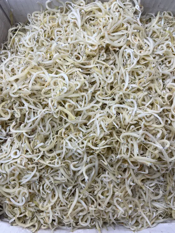 【顺丰包邮】自家生晒银鱼干（面条鱼）250g   500g