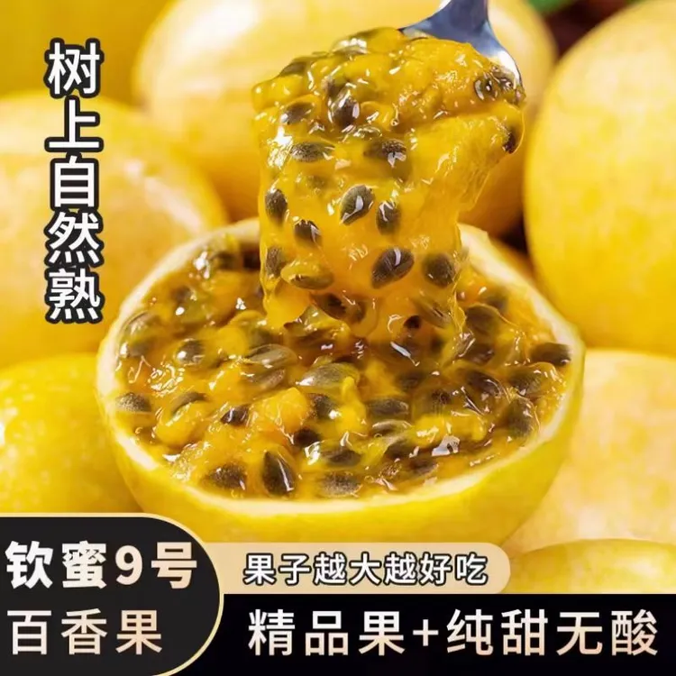 广西大果百香果正宗钦蜜9号黄金百香果新鲜现摘现发【申通快递】
