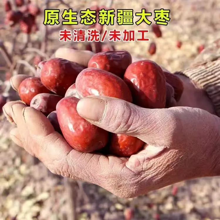 一级二级混装吊干大枣树上自然吊干未清洗不打蜡