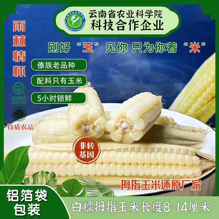 雨林情怀白糯拇指玉米特质农品西双版纳新鲜非转基因真空绿色食品