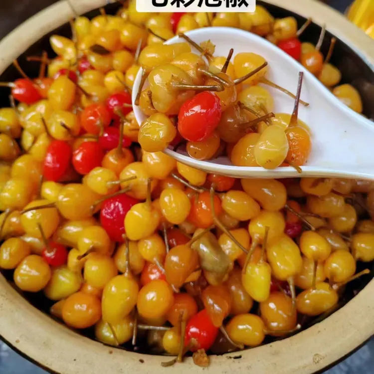 广西特产七彩辣椒腌制五彩泡椒灯笼椒