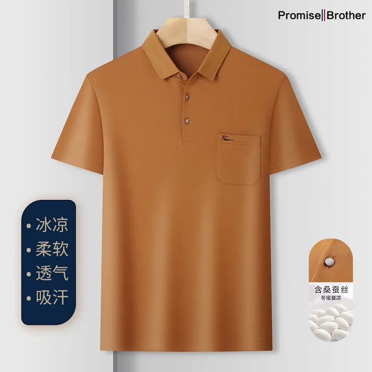 休闲半袖T恤桑蚕丝上衣男士夏季丝光棉简约风高级感男装柔软透气