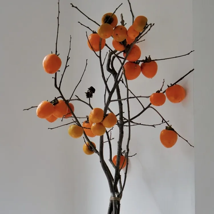 【AAA级大柿子】秋季超绝氛围感插花，好柿发生，万柿如意