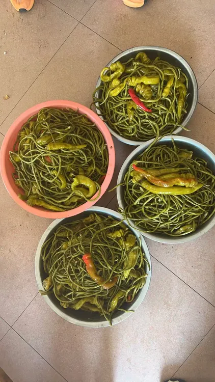 正宗苏河特色盐豇豆