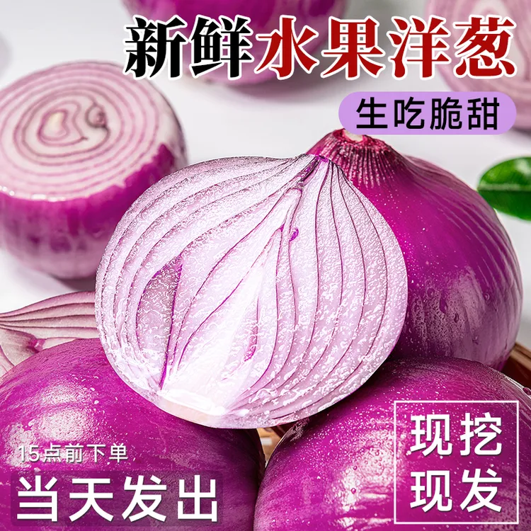 水果洋葱5斤生吃新鲜洋葱甜味蔬菜不辣红皮大圆葱批发产地直销