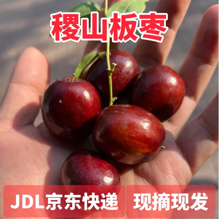 稷山板枣【产地直发】京东快递新鲜脆甜多汁皮薄应季水果红枣