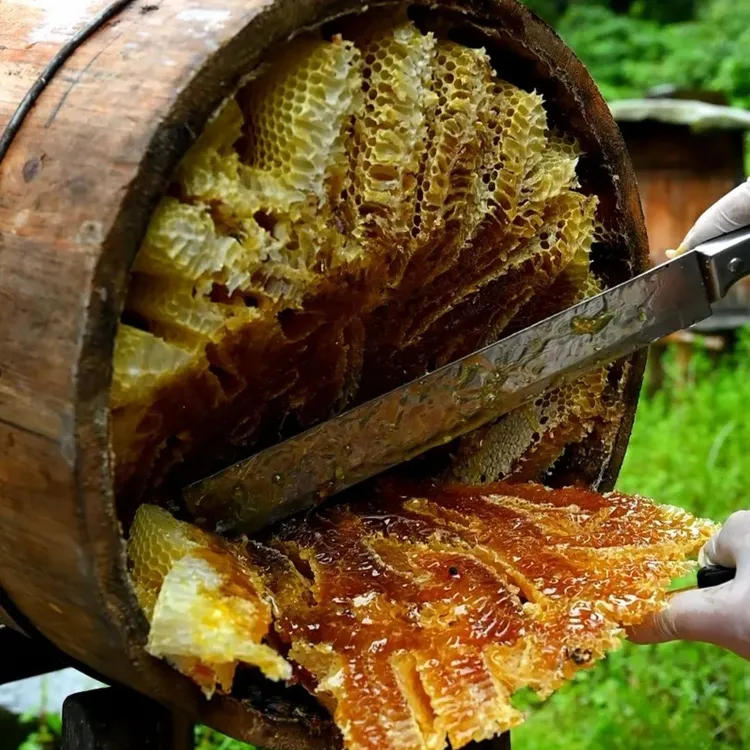 蜂蜜纯正土蜂蜜农家自产百花蜜正品木桶蜜成熟结晶蜜陕西商洛蜜源