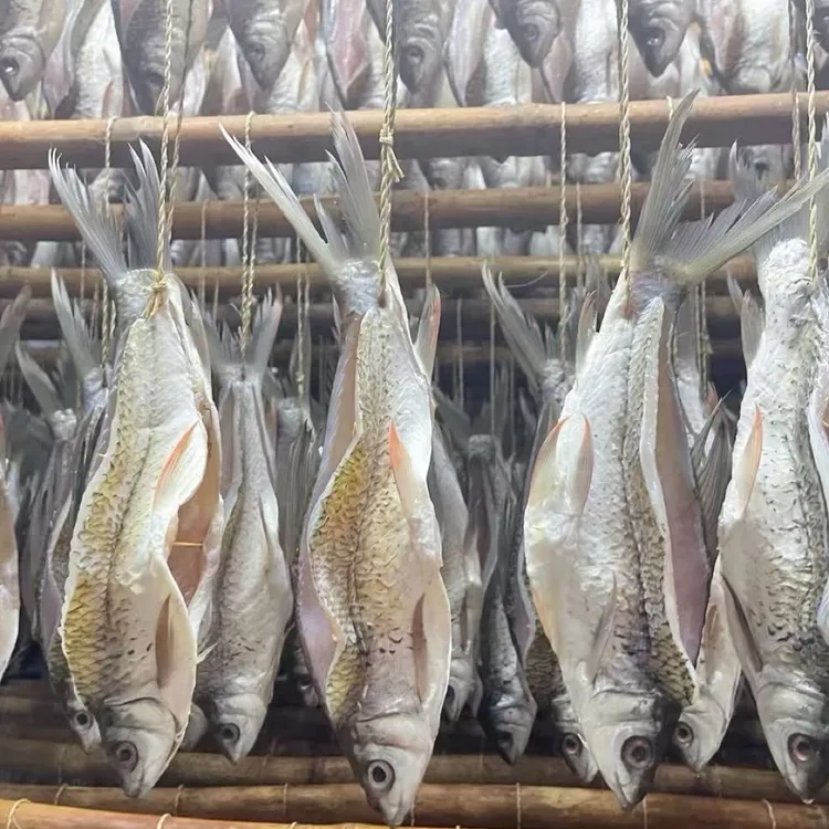 正宗生晒鲮鱼干包邮发货