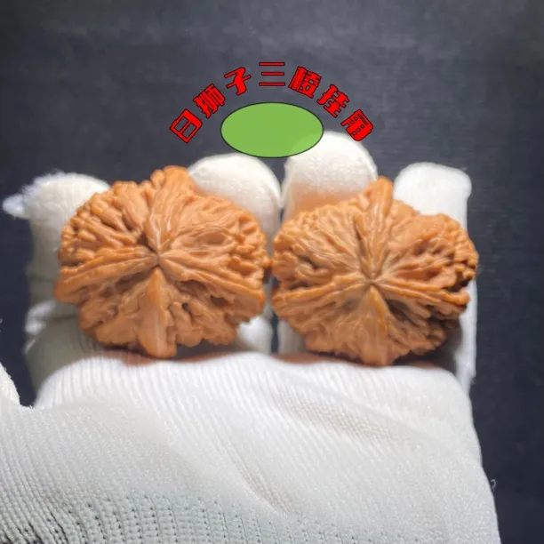 白狮子三棱  挂角 高端异形 配对相似度很高 机会难得 