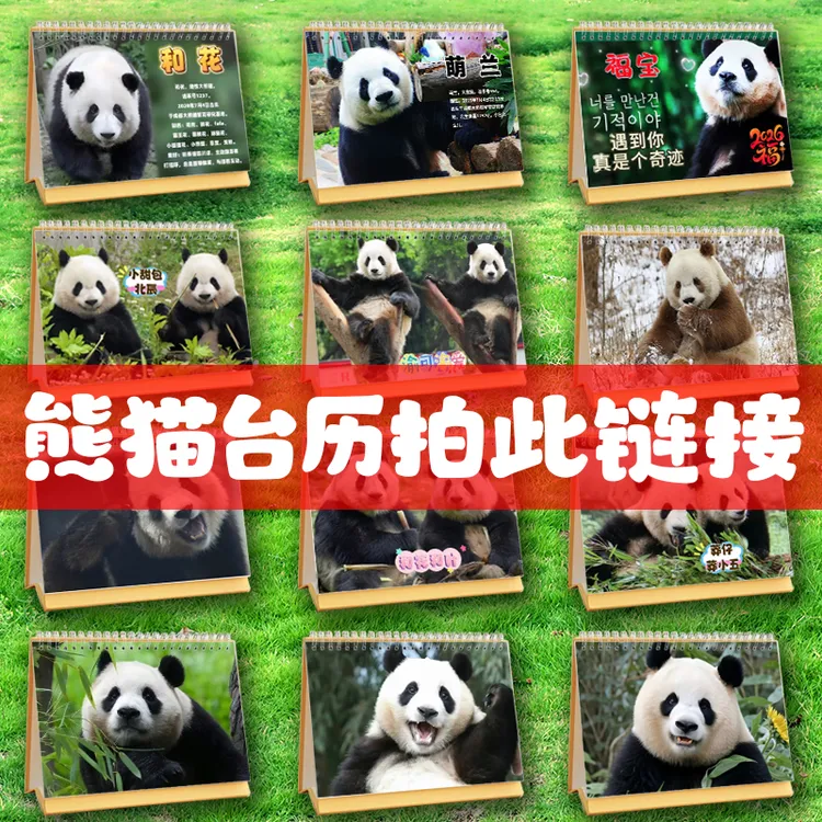 大熊猫2026年台历萌兰福宝渝可渝爱和花和叶花花日历定制