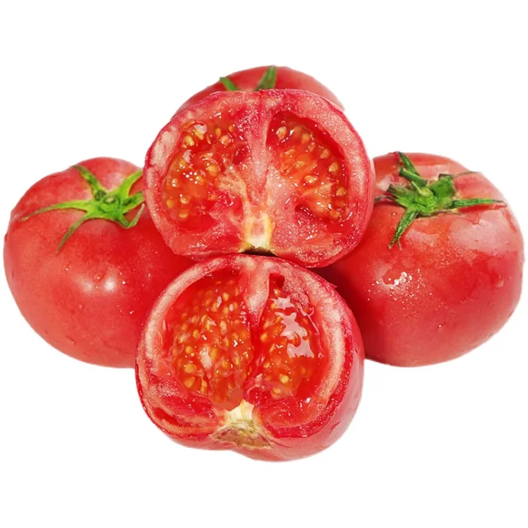 现摘攀枝花沙瓤西红柿新鲜蔬菜水果酸甜多汁3斤5斤
