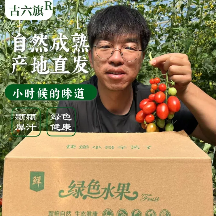 内蒙古釜山88西红柿自然成熟现摘现发即食爆汁樱桃玲珑爽口小番茄