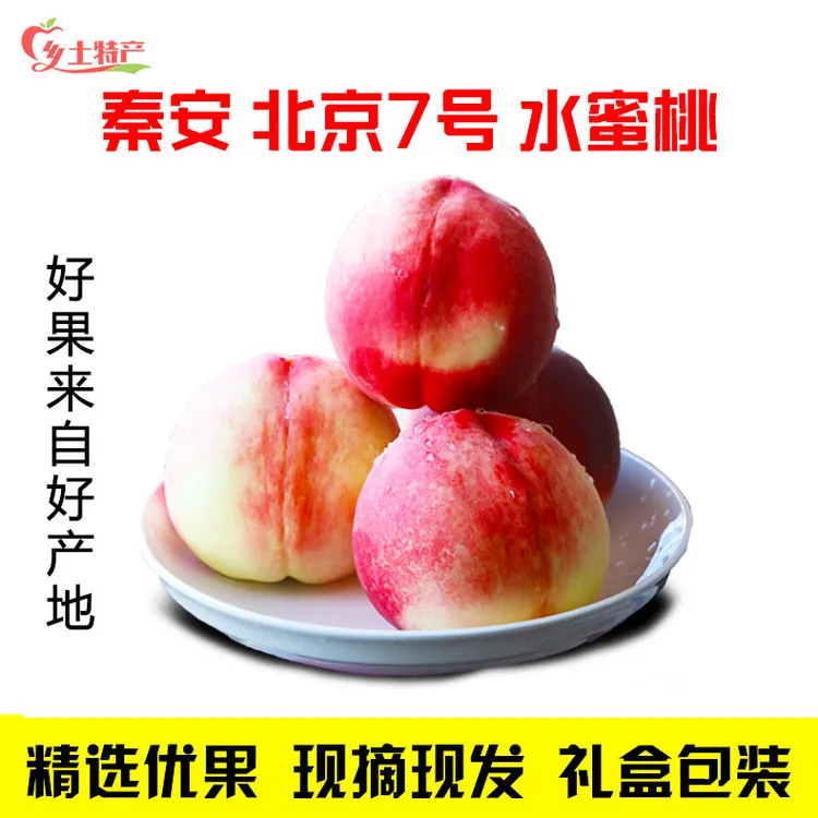 秦安水蜜桃北京7号  果园现摘现发 精品礼品盒装