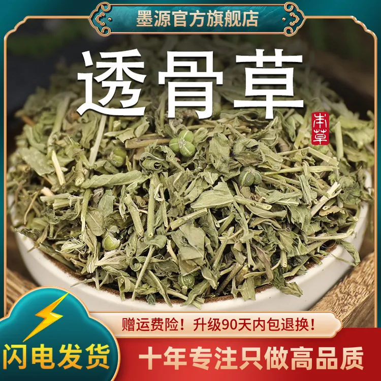 透骨草中药材新鲜珍珠透骨草非野生泡脚可搭伸筋草泡水茶可打粉