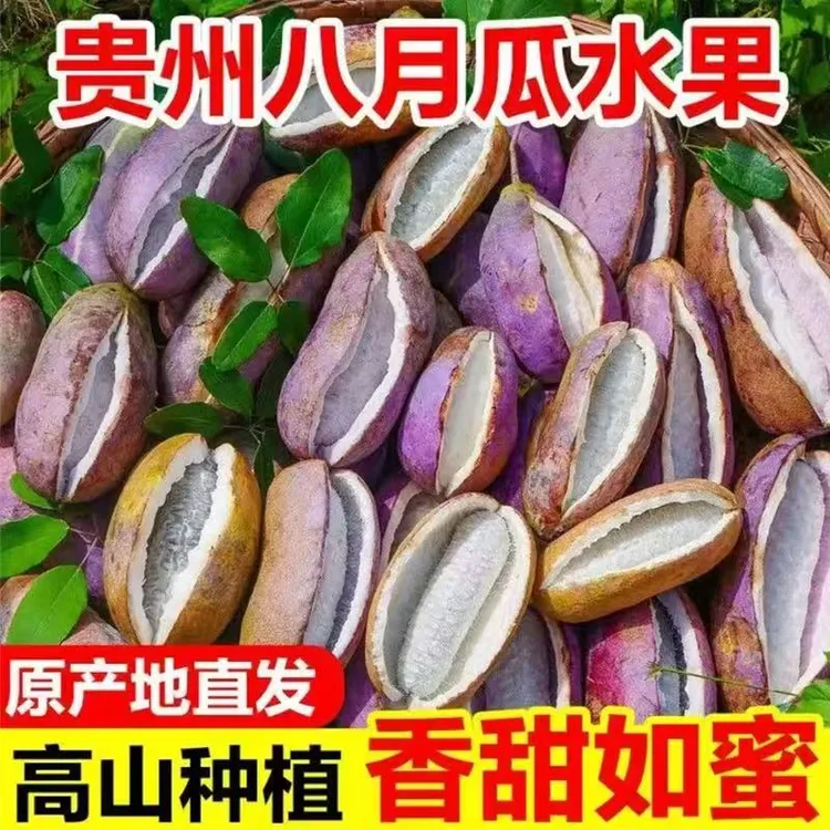 贵州新鲜八月瓜现摘稀有水果八月炸预知子香甜软糯应季顺丰包邮