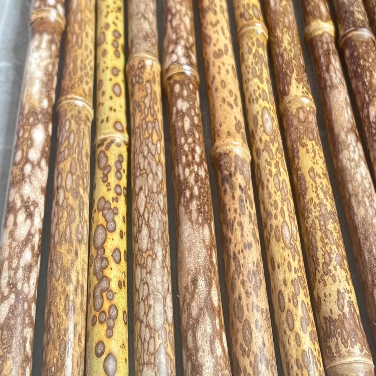 优质梅鹿竹可盘玩的文玩笔杆原材料