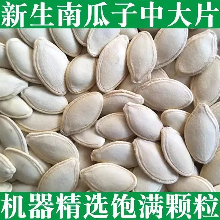 生南瓜子5斤装2斤1斤生熟可选瓜子类坚果零食生南瓜子