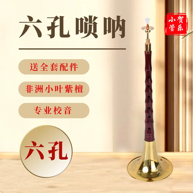 六孔降B调练手非洲小叶檀初学者唢呐全套专用声音优美唢呐笛子